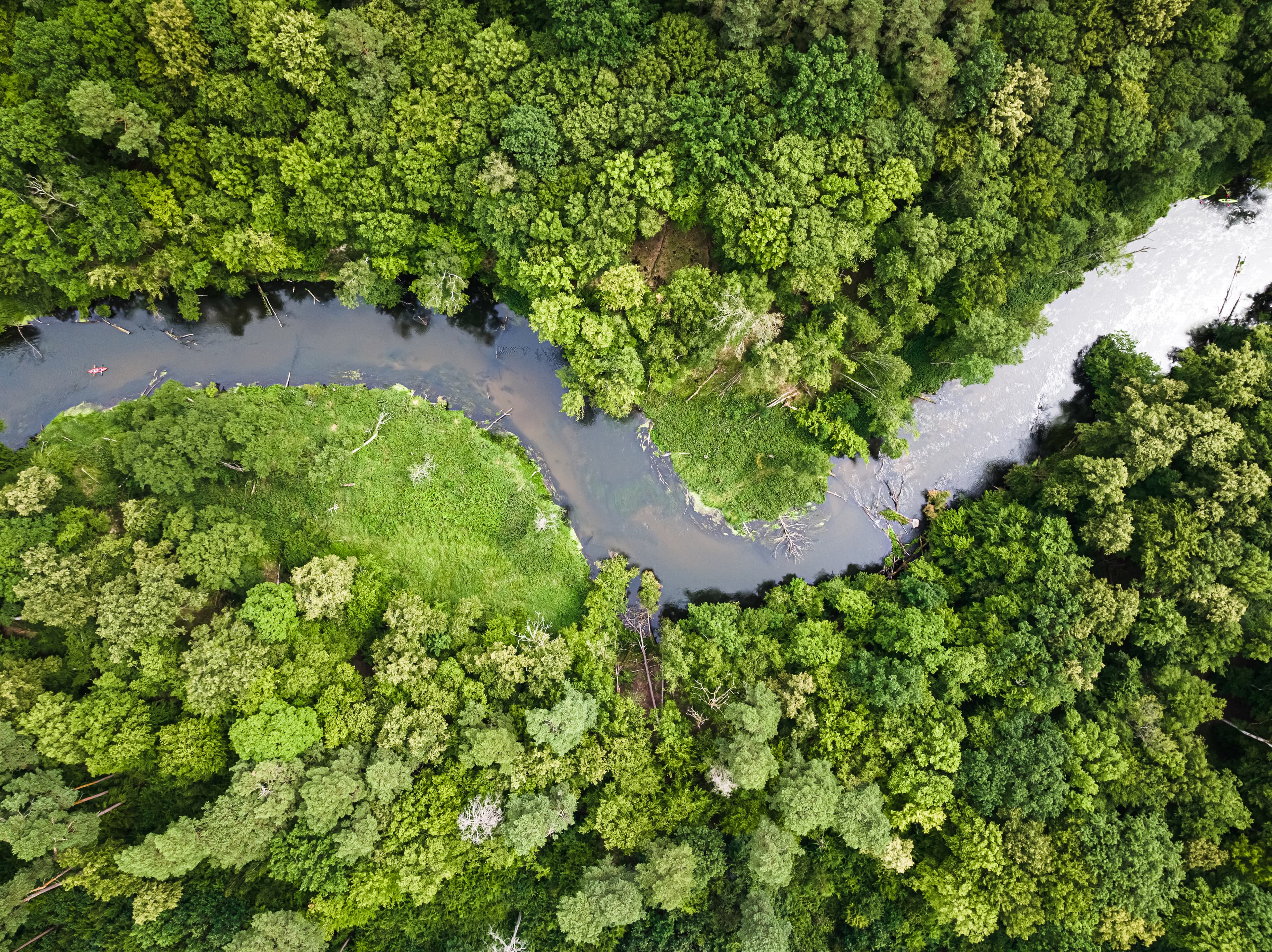 Environment, Ecology, Biodiversity