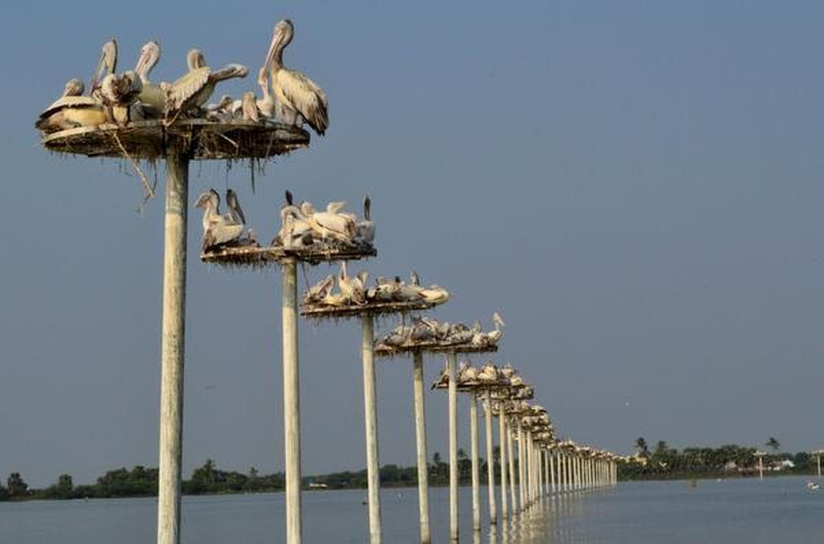 6981686641bd282f91126d93