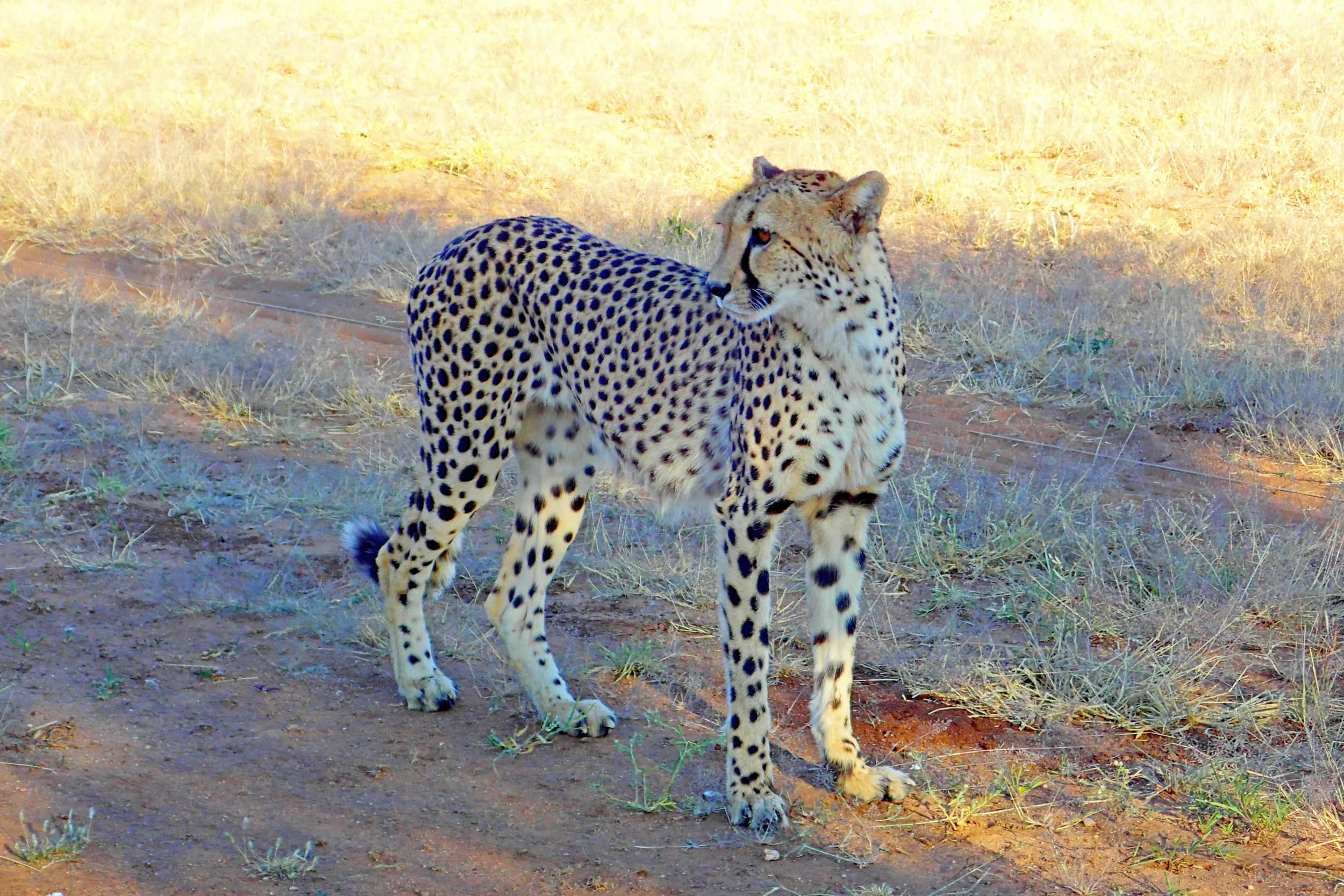 69840c8d41bd282f911275d5