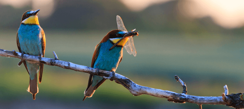 6909705ed188941ab48242d1